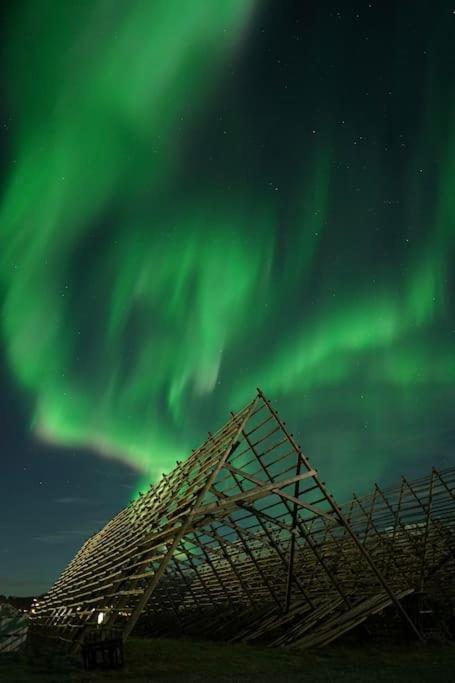 Lofoten Holiday Kabelvag Ngoại thất bức ảnh