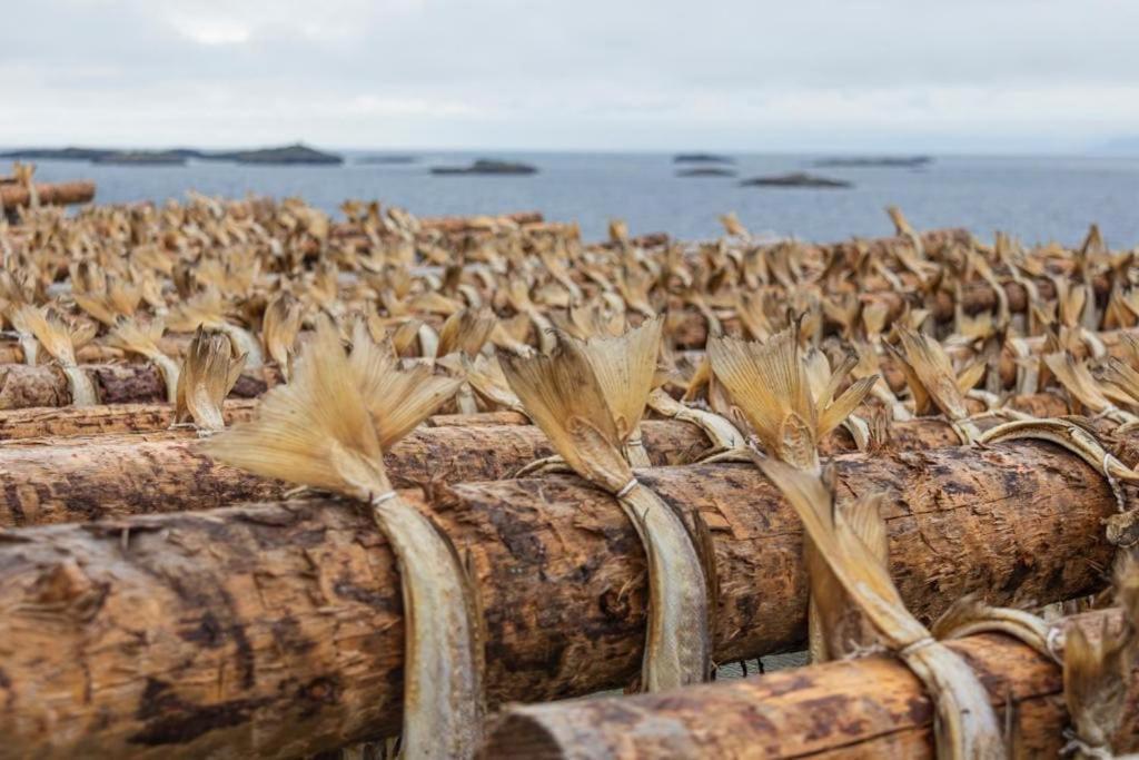 Lofoten Holiday Kabelvag Ngoại thất bức ảnh